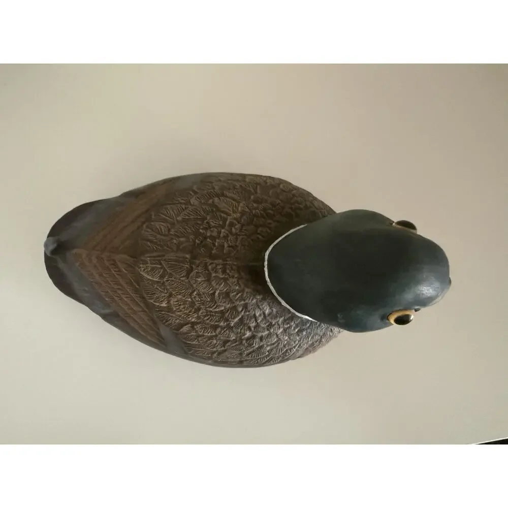 Duck please see